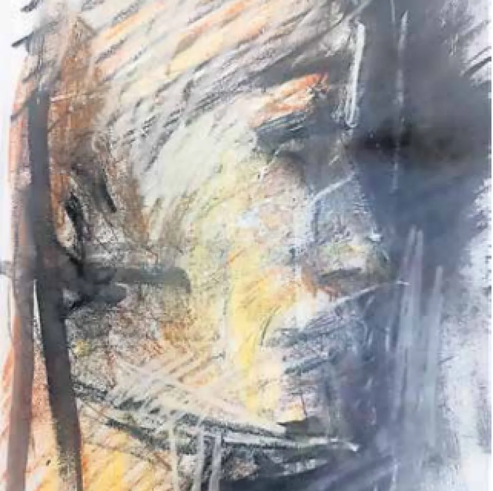 Rad Maje Burić, ilustracija