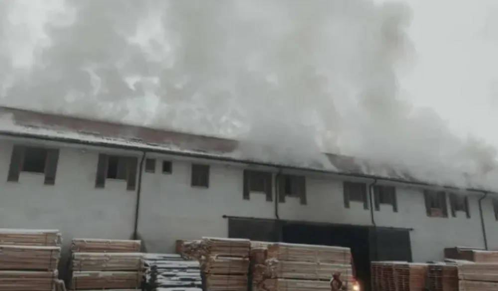 Pljevlja: Požar u pogonu za preradu drveta