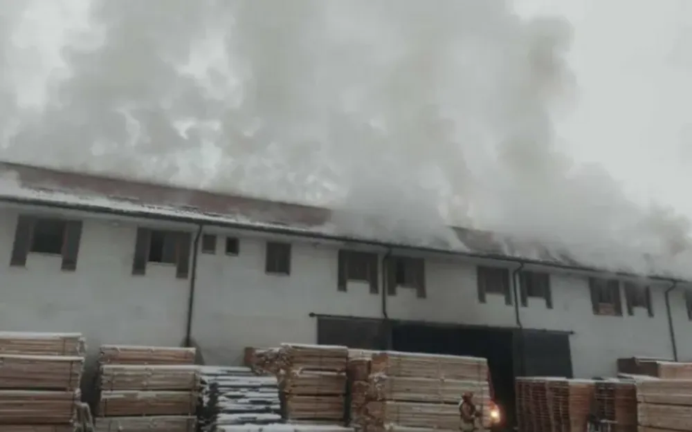 Pljevlja: Požar u pogonu za preradu drveta