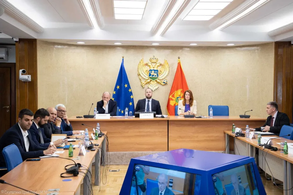 Milan Vujanović na Anketnom odboru 4. decembra o "Crnim trojkama"