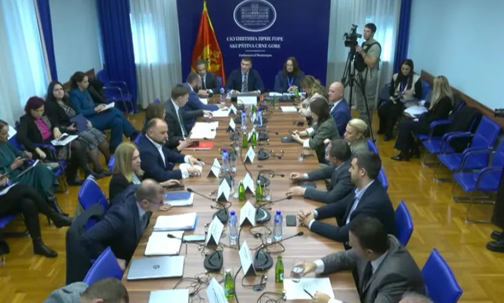 Petrić onemogućio Kadiću da prisustvuje sjednici Odbora za zdravstvo, data pauza na zahtjev opozicije