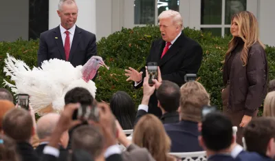 Tramp pomilovao dvije ćurke Vadl i Gabl