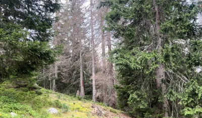 Plavljanin osumnjičen za nelegalnu gradnju u NP Prokletije