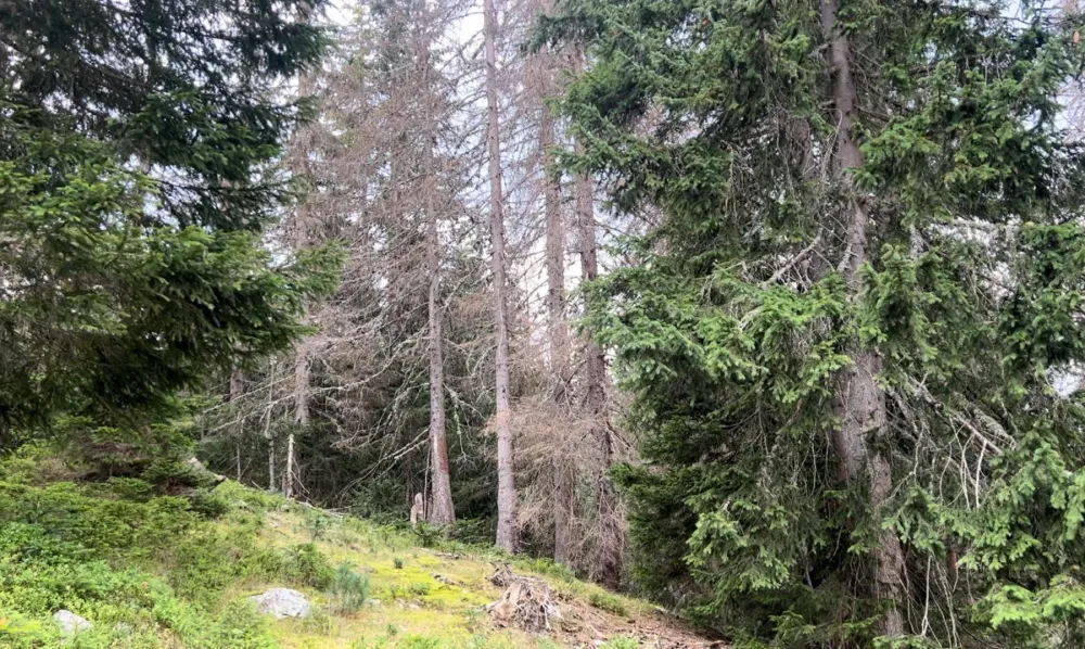 Plavljanin osumnjičen za nelegalnu gradnju u NP Prokletije