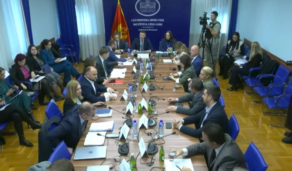 Kadiću ipak nije odobreno prisustvo sjednici Odbora za zdravstvo, rad i socijalno staranje