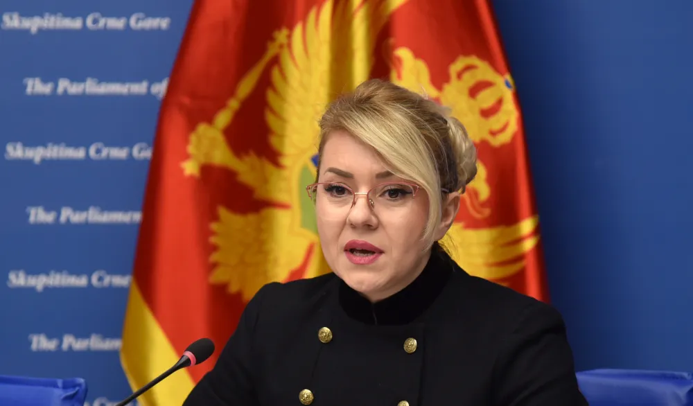 Božović: U ponedjeljak ću zakazati sjednicu Ustavnog odbora i raspisati javni poziv za izbor sudije Ustavnog suda