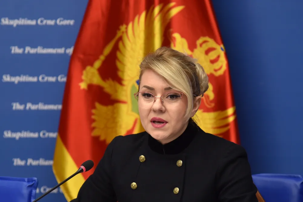 Božović: U ponedjeljak ću zakazati sjednicu Ustavnog odbora i raspisati javni poziv za izbor sudije Ustavnog suda