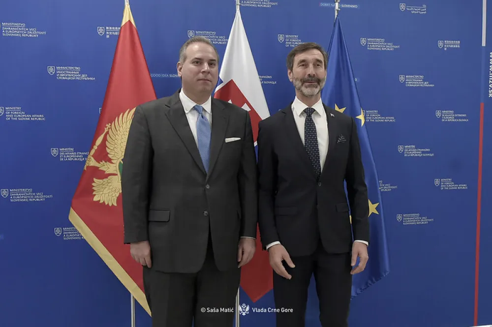 Ivanović-Blanar: Crna Gora naredna članica EU, ubrzati proces pristupanja