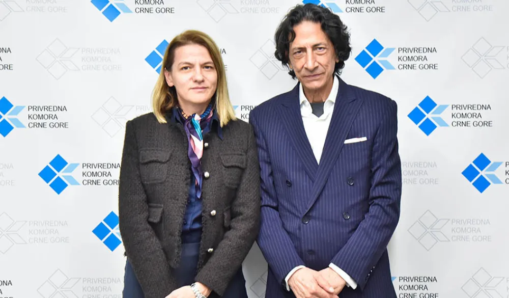 Drakić: Koordinisano djelovanje može doprinijeti realizaciji vrijednih arapskih ulaganja