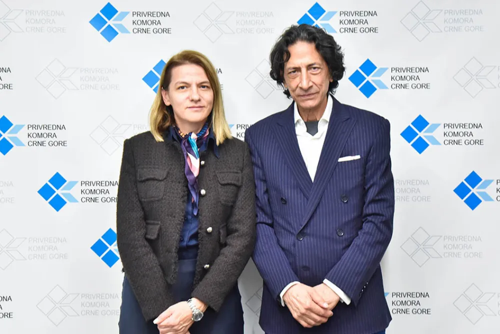 Drakić: Koordinisano djelovanje može doprinijeti realizaciji vrijednih arapskih ulaganja