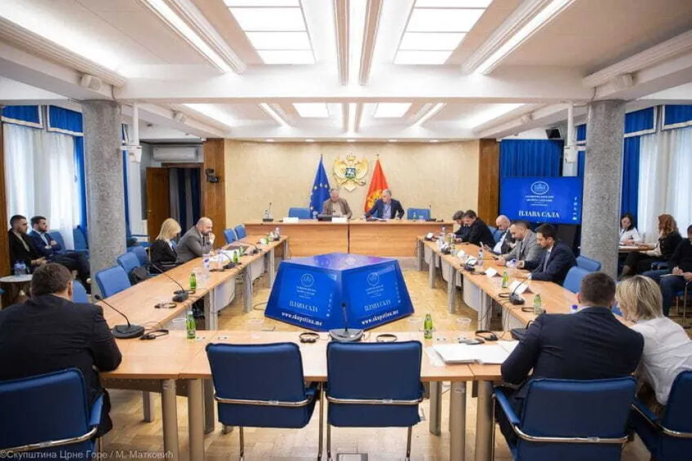 Prihvaćen predlog PES-a, odbijen amandman SNP-a: Bri&scaron;e se riječ "nasilna" iz formulacije o aneksiji Crne Gore