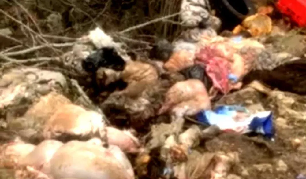 Eko raj Blace pretvoren u deponiju