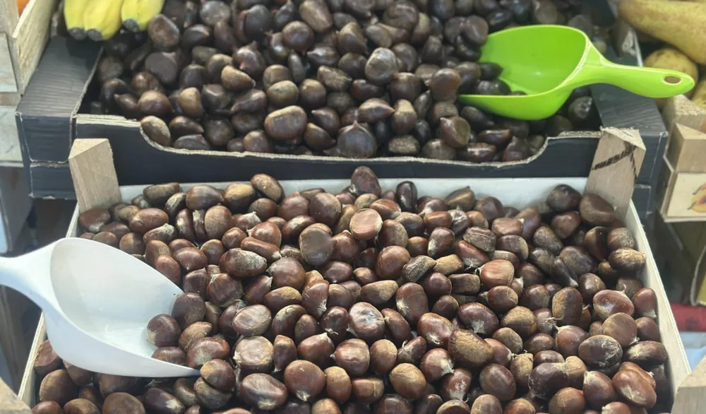 Kilogram kestena od pet do sedam eura