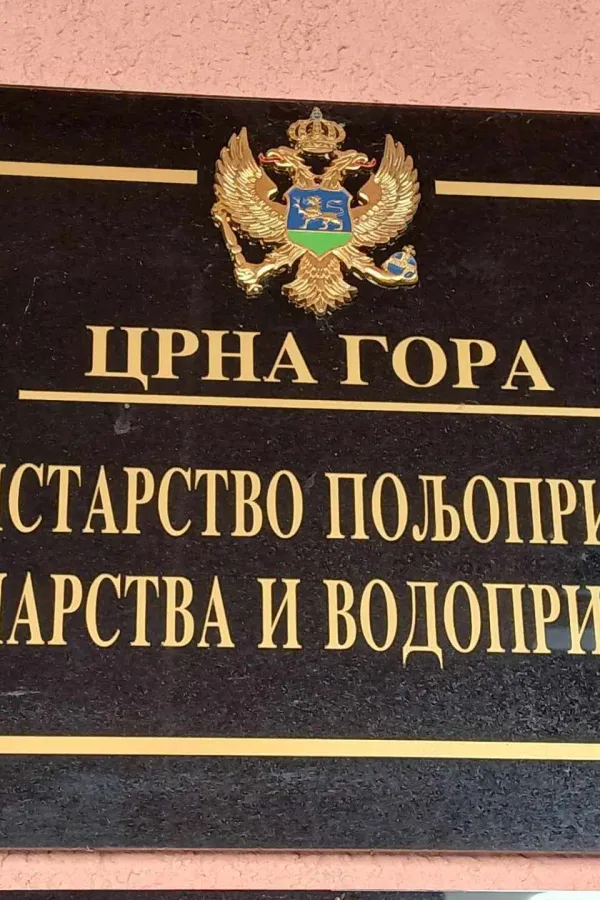 Kasni obrada zahtjeva za finansijsku podr&scaron;ku biv&scaron;im zaposlenima u drvnoj industriji