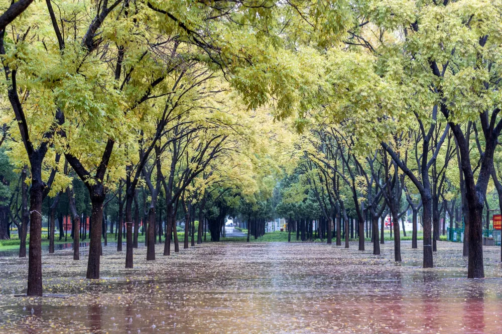 (VIDEO) Danas oblačno i ki&scaron;ovito