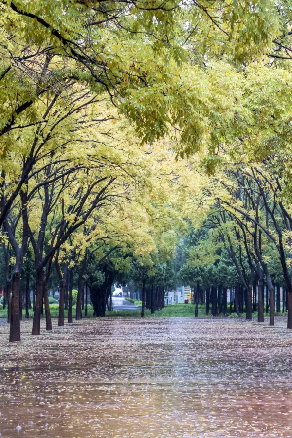 (VIDEO) Danas oblačno i ki&scaron;ovito