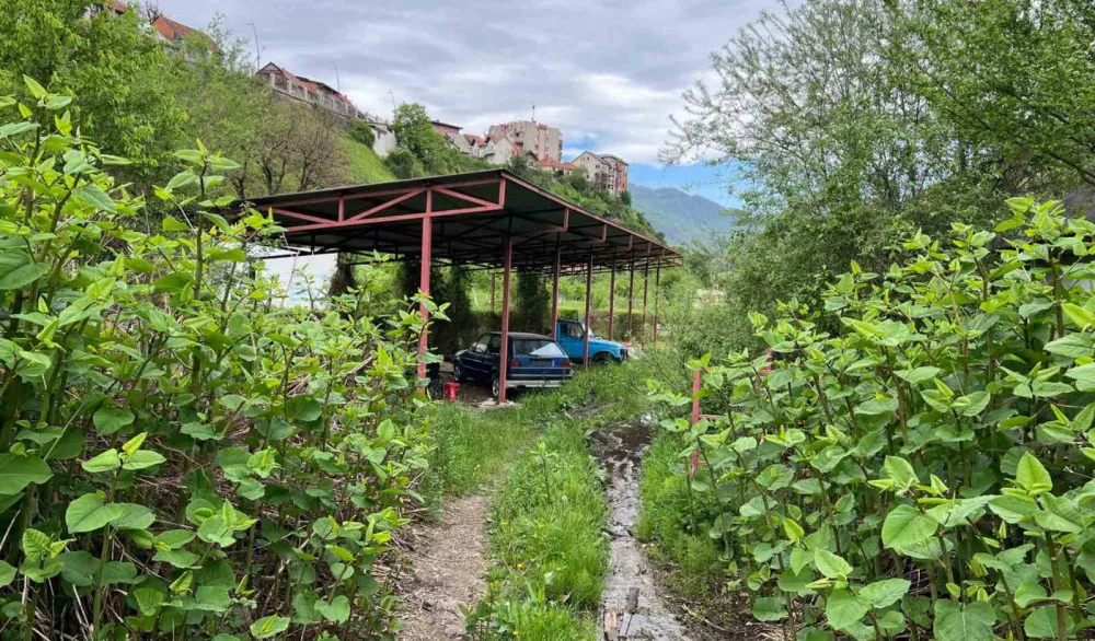 Andrijevica: Kapije objekta vrijednog 50.000 zaključane dvije decenije