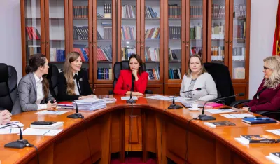 Jelić: Ostvarivanje vladavine prava nezamjenjiv uslov za efektivnu za&scaron;titu ljudskih prava