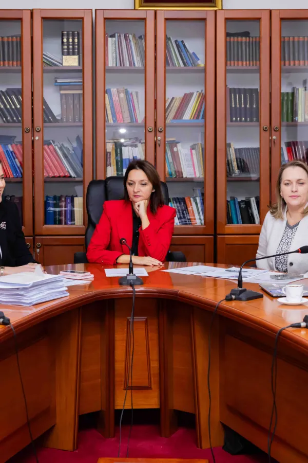 Jelić: Ostvarivanje vladavine prava nezamjenjiv uslov za efektivnu za&scaron;titu ljudskih prava