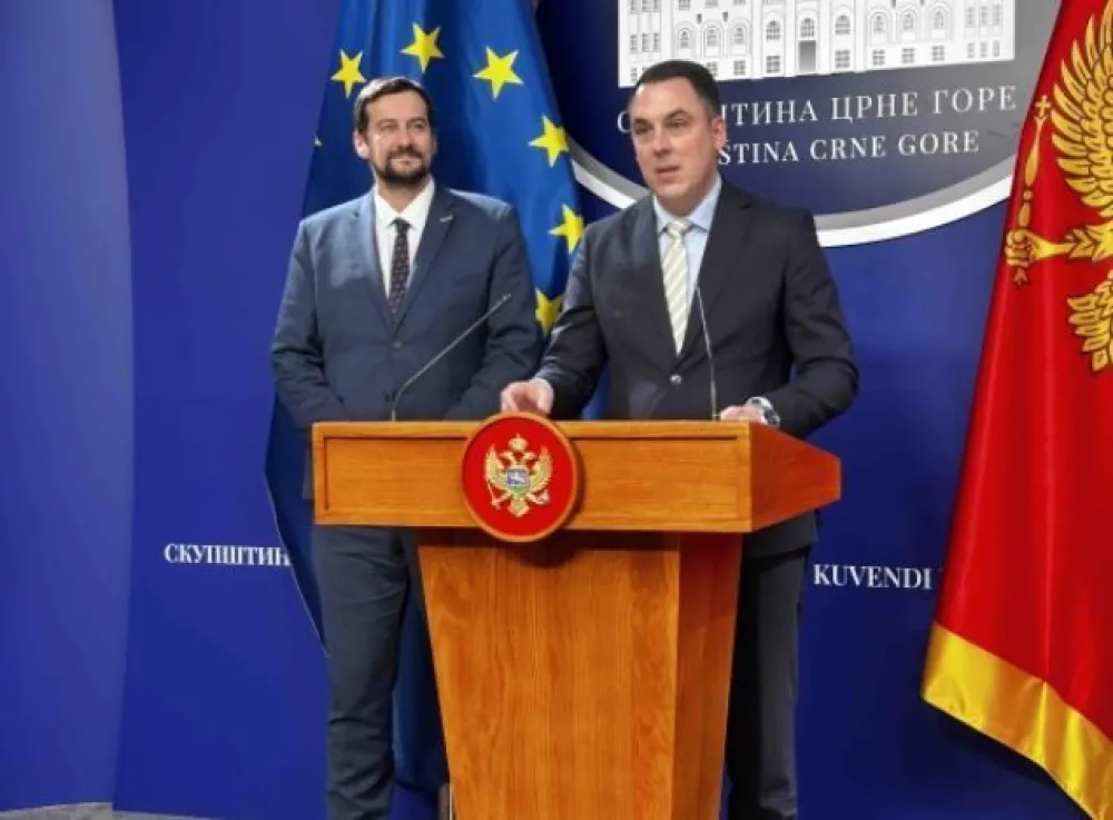 Vuković: Tekst Rezolucije o EU integraciji predstavićemo narednog petka