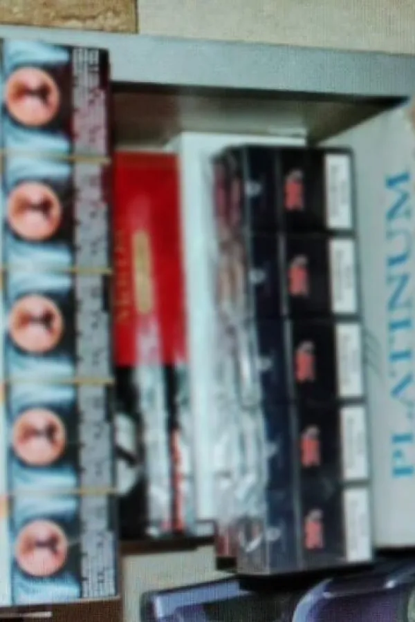 U Pljevljima oduzeto skoro 250 paklica cigareta