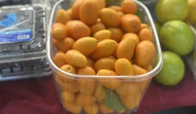 Kilogram fortunela pet eura