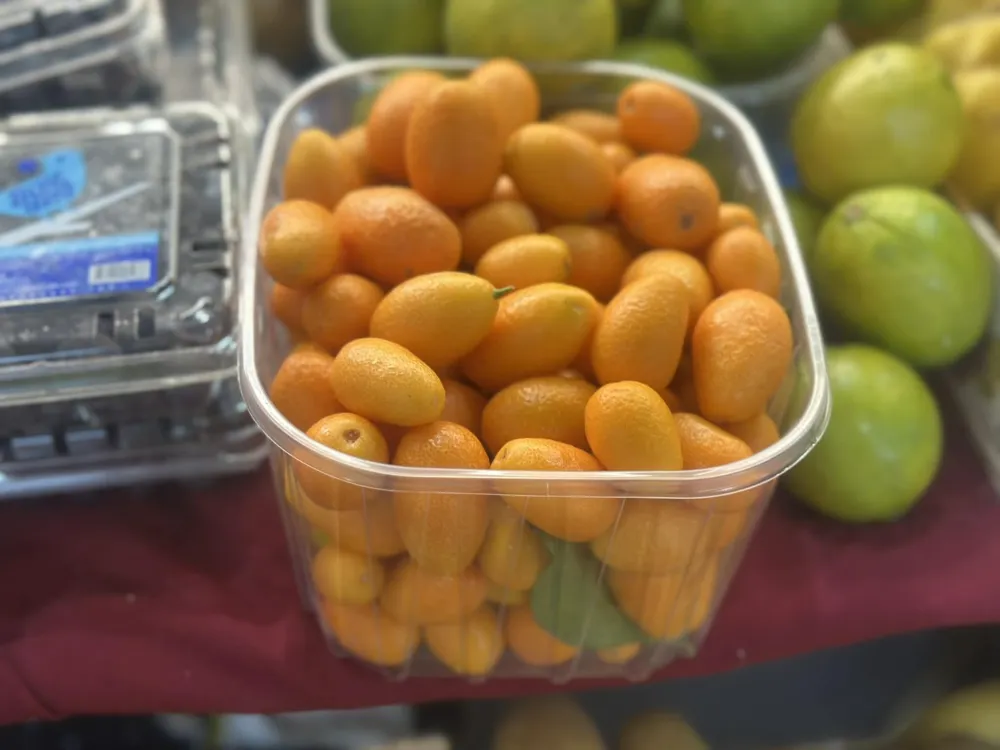 Kilogram fortunela pet eura