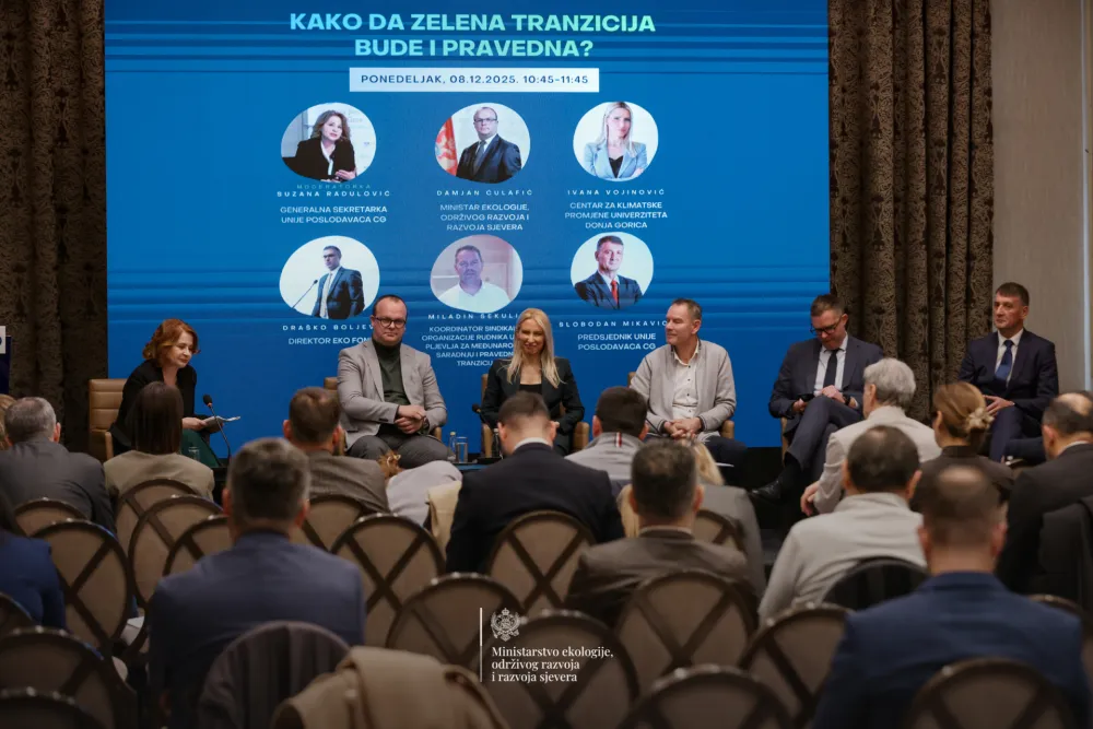Ćulafić: Zelene tehnologije &scaron;ansa za konkurentniju privredu