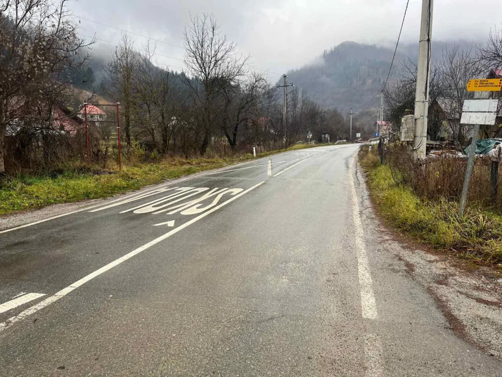 Mje&scaron;tani Lubnica traže trotoare i bezbjedniji put