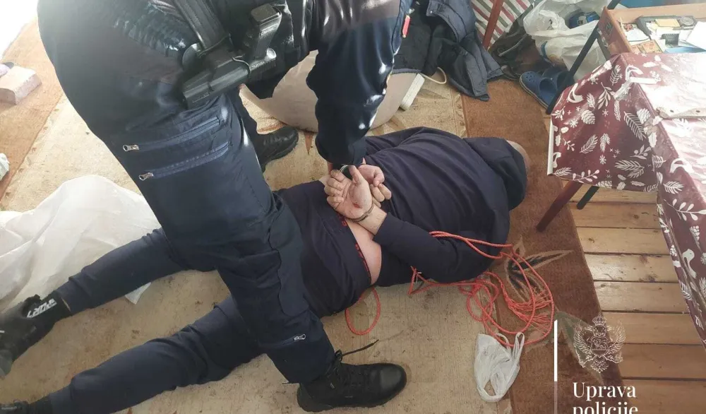 Hap&scaron;enje Lazara Vulevića