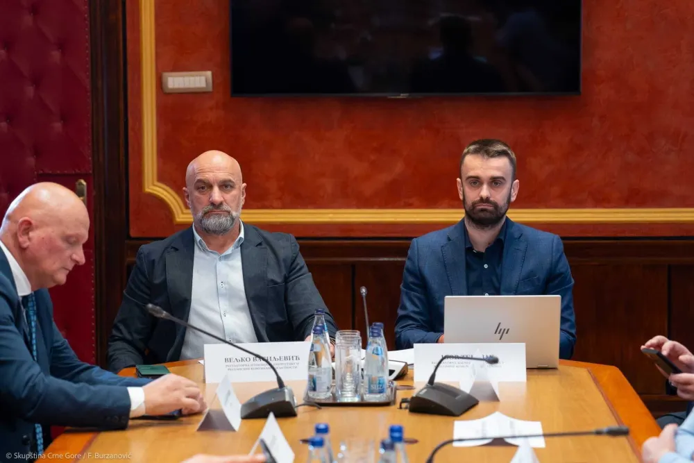 Ako uvoz poraste, struja će poskupjeti