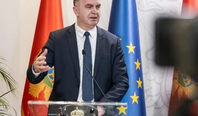 Nik Đeljo&scaron;aj