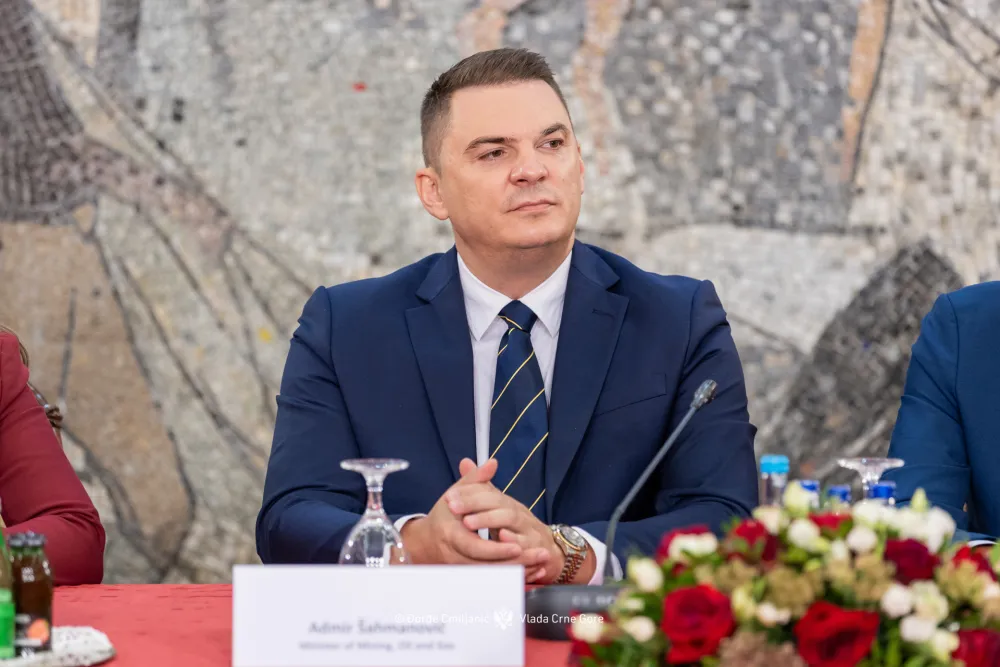 Admir &Scaron;ahmanović