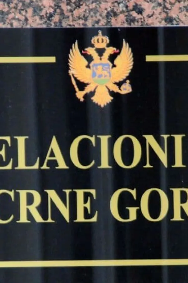 Potvrđena presuda u predmetu po tužbi &ldquo;Domen&rdquo;