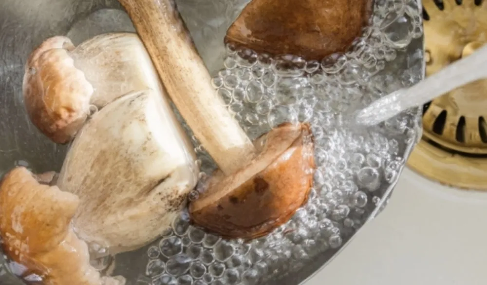 Ovo su namirnice koje nikako ne treba prati prije kori&scaron;ćenja