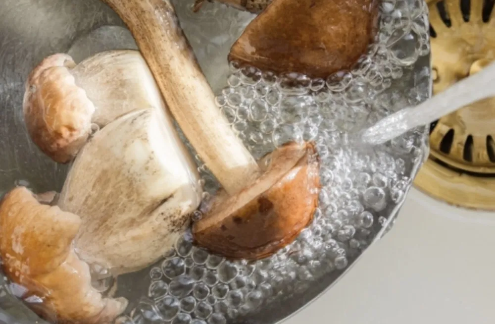 Ovo su namirnice koje nikako ne treba prati prije kori&scaron;ćenja