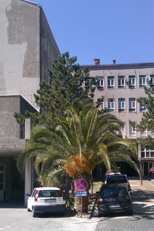 Zabranjene posjete pacijentima u risanskoj bolnici