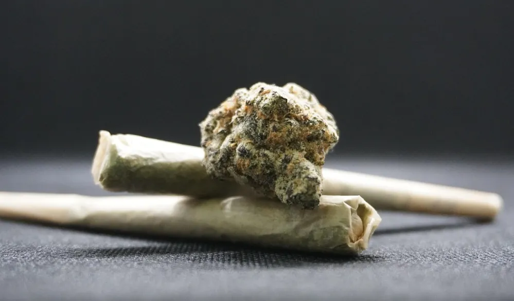 Novi Sad: U stanu pronađena laboratorija za proizvodnju marihuane, uhap&scaron;en 27-godi&scaron;njak