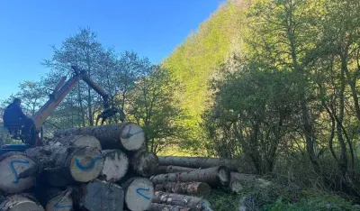 Vlasniku pilane krivična prijava, vr&scaron;io nelegalnu sječu čamove građe na Jelovici