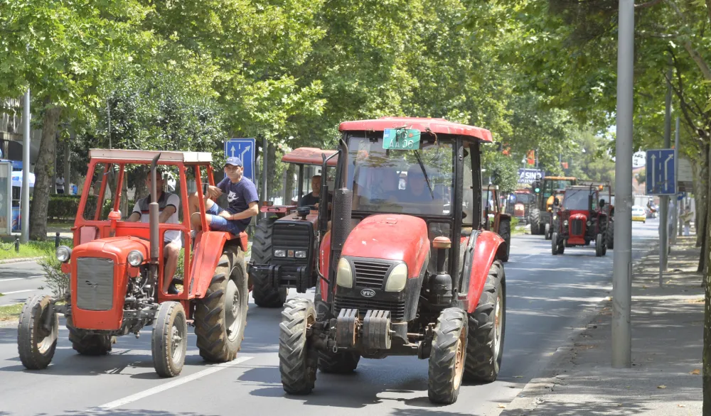 Protest stocara, protest stocara ispred skupstine, udruzenje stocara, stocari, protest, protest stocara u podgorici