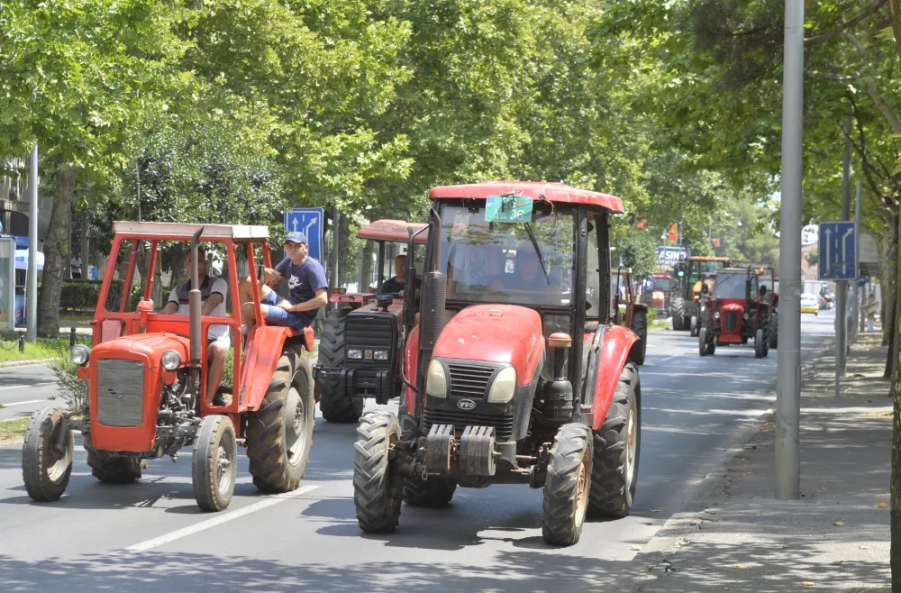 Protest stocara, protest stocara ispred skupstine, udruzenje stocara, stocari, protest, protest stocara u podgorici