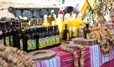 Maslinijada - Bar 2025.