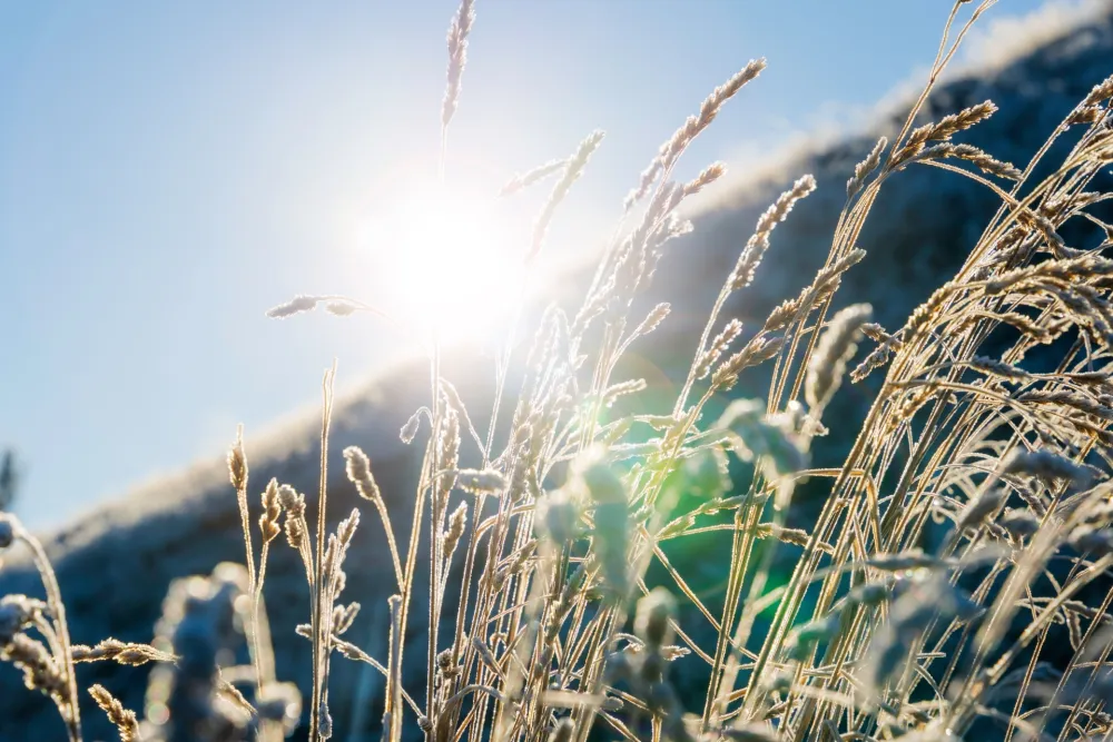 I danas&nbsp;sunčano, temperatura do 19 stepeni