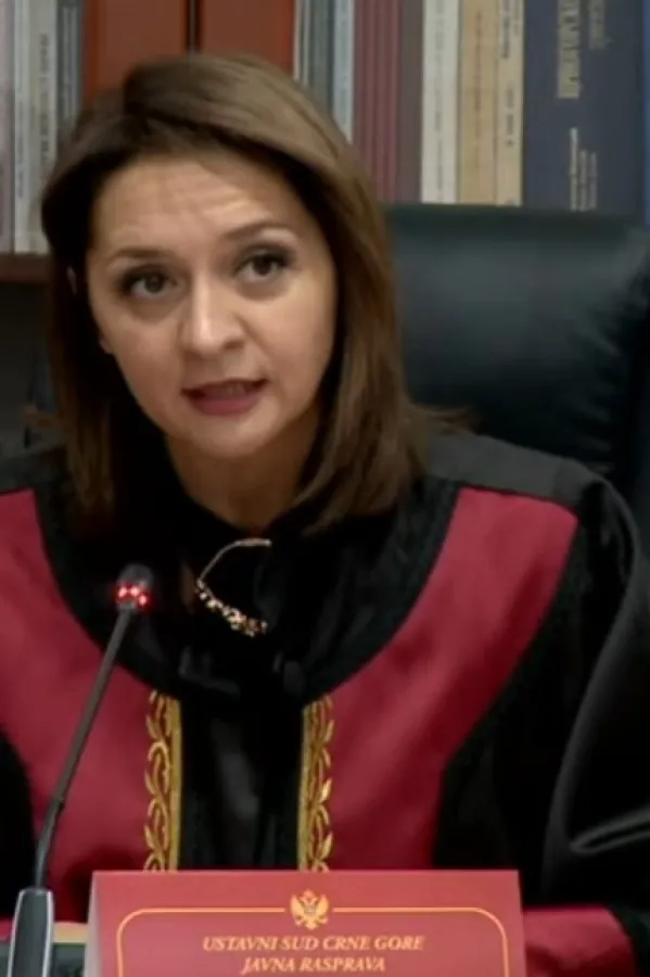 Armenko: Ustav kao živi instrument mora da prati promjene u dru&scaron;tvu kako bi ostao efikasan