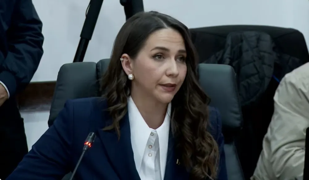 Adžović: Potvrđivanje sporazuma sa UAE isključivo pravno a ne političko pitanje