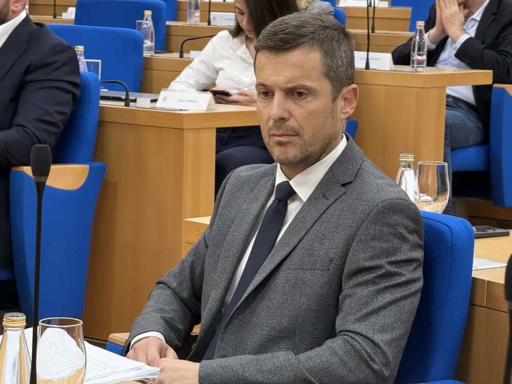 Sa&scaron;a Mujović