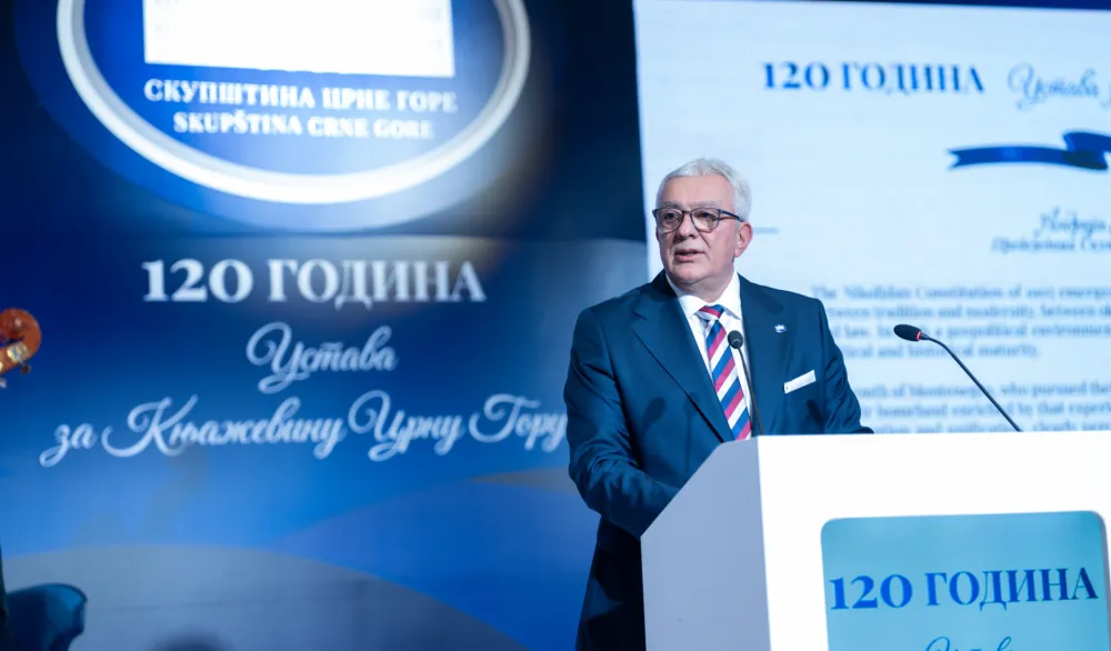 Mandić: Aktuelni Ustav upodobiti sada&scaron;njosti i promijeniti status srpskog jezika