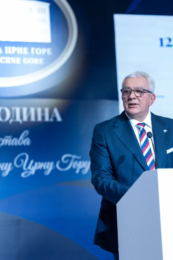 Mandić: Aktuelni Ustav upodobiti sada&scaron;njosti i promijeniti status srpskog jezika