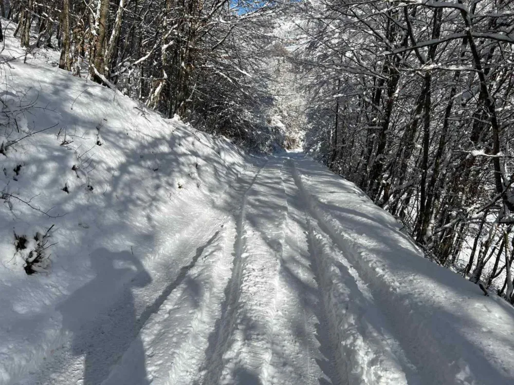 Sjutra počinje zima