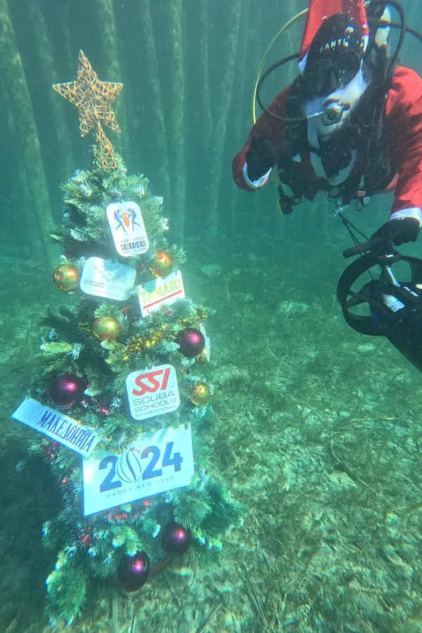 U Ohridskom jezeru postavljena novogodi&scaron;nja jelka pod vodom